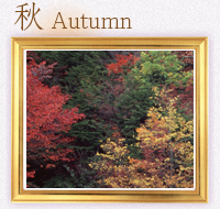 ミズナスグループホームの年間行事（秋-Autumn-）